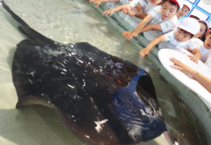 âæµ·éé¤¨6.17-4